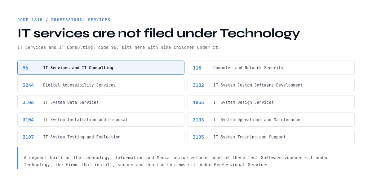 LinkedIn industry list: the 10 IT services values filed under Professional Services